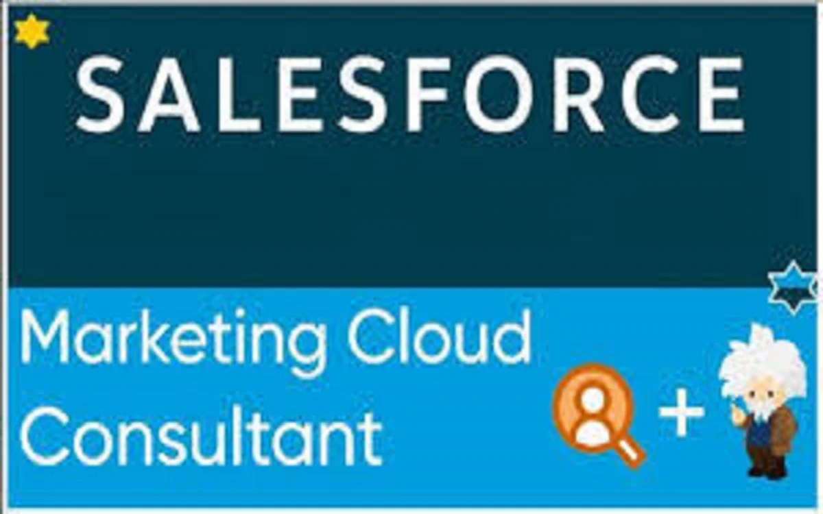 Salesforce Target Market Segmentation & Marketing Strategy